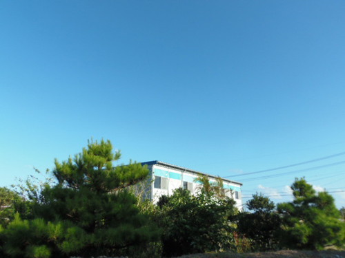 素泊の宿 かめかめの写真1