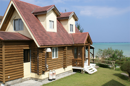 パパラギ王国の写真1