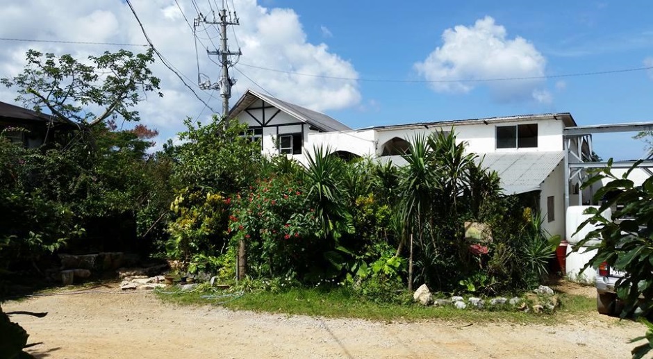 夢有民牧場の写真1