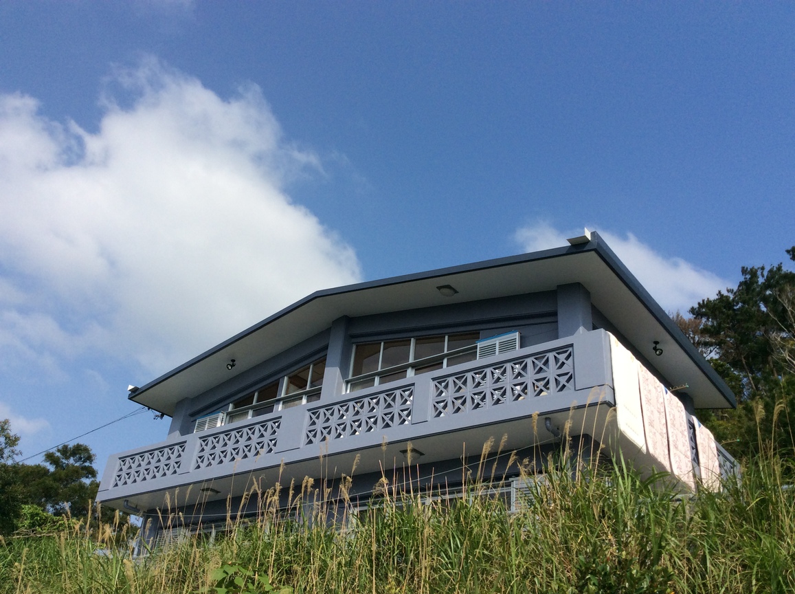 元旦バニーの写真1