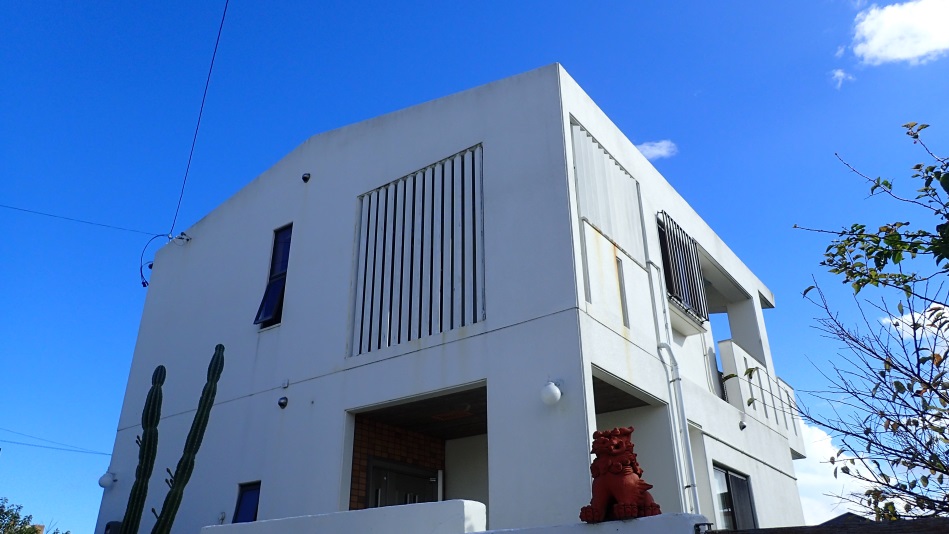 Smilax Kurichiの写真1