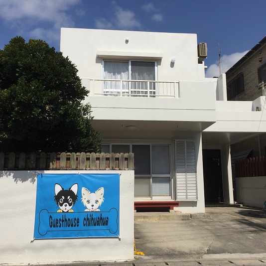 GuestHouse チワワの写真1