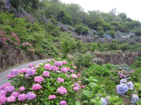 美咲花山園の写真1