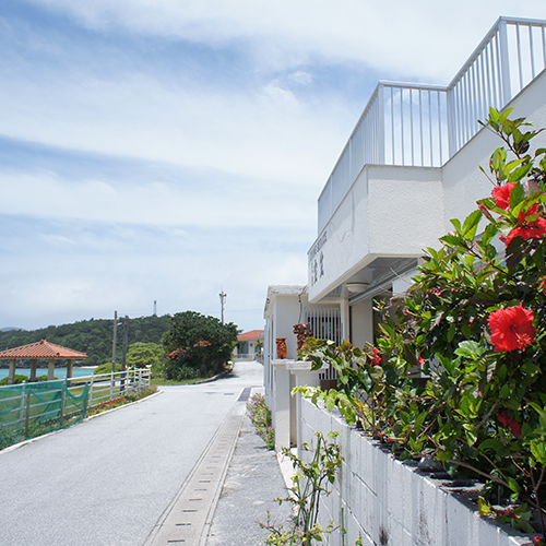 宝生 <阿嘉島>の写真1