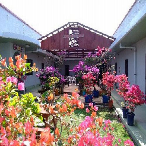 パティオ ハウスリーフ <座間味島>の写真1