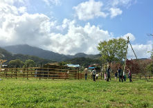 [閉店]ベジQアグリパーク伊勢原の写真1