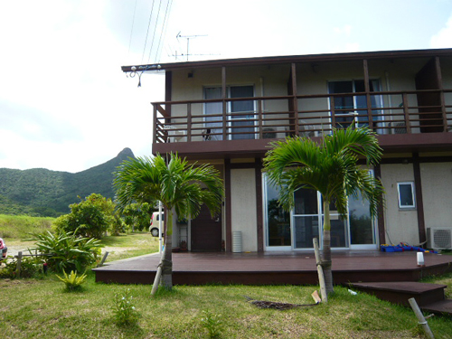 海すずめ <石垣島>の写真1