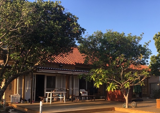 はりはりはうす<石垣島>の写真1