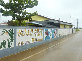 月桃ムーンピーチ<南大東島>の写真1