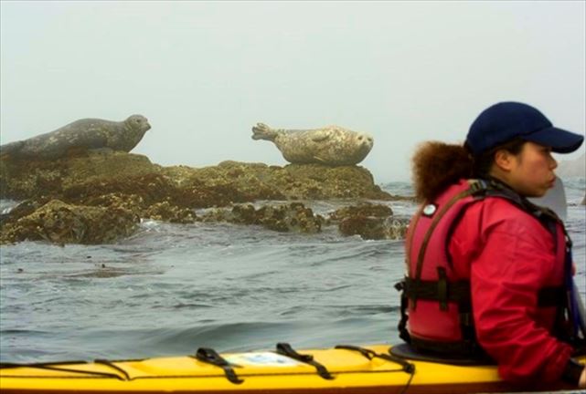 クリフカヤックスの写真1