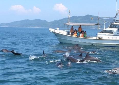 天草海鮮蔵の写真1