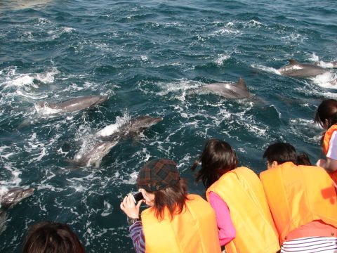 イルカマリンワールドの写真1