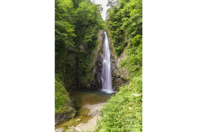 グリーン交通の写真1