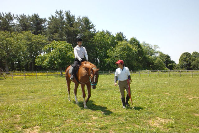 金谷沢サンクチュアリ乗馬倶楽部の写真1