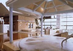 天然温泉 平和島の写真1