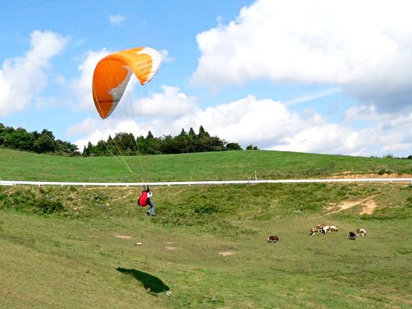 MAPSパラグライダースクールの写真1