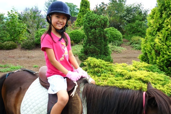 美馬森 八丸牧場の写真1