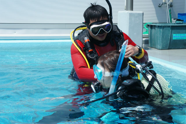 スキューバカンパニードルフィンの写真1