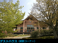 紅乙女酒造 耳納蒸留所の写真1