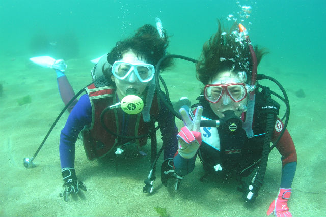 男鹿市ダイビングセンターの写真1