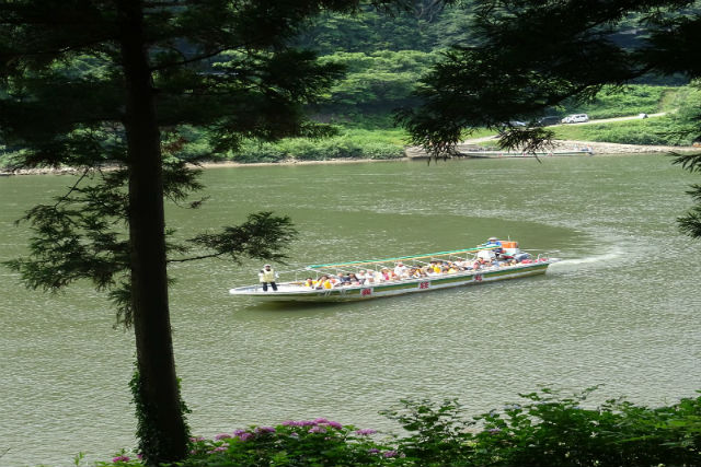 最上川船下り義経ロマン観光の写真1