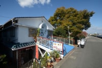 ゲストハウス ネコネコ