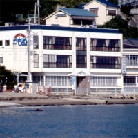 かもめ<新舞子>