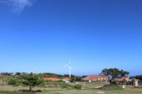 うちなーファーム