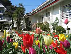 ペンション ストロベリー <淡路島>