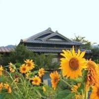 農家民宿ひまわり <淡路島>