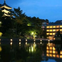 さるさわ池 よしだや