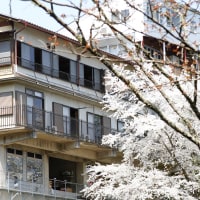 山家料理の宿 一休庵