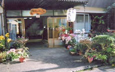 十津川温泉郷 ゑびす荘