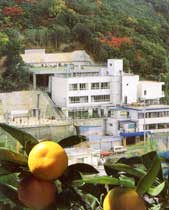 国民宿舎 くろ潮