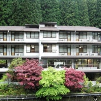 龍神温泉 美人亭