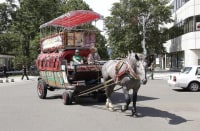 札幌観光幌馬車