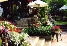 ゲストハウス サニーサイド