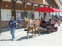 十和田市馬事公苑 駒っこランド