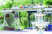 八幡平フラワーランド
