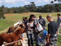 モ〜ランド・本吉