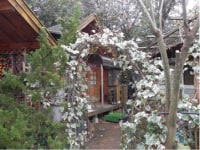 α8 アルファエイト