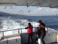 真鶴半島遊覧船