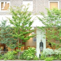 セブンデイズホテル