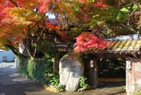 秋月温泉 料亭旅館 清流庵