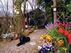 阿蘇のペンション おかの家