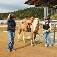 ワイナリーヒルズランチ