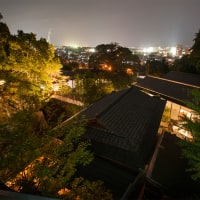 別府温泉 べっぷ昭和園