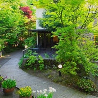 由布院温泉 山紫御泊処 はなの舞