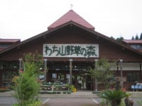 わち山野草の森