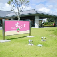 かかしの里 ゆぽっぽ